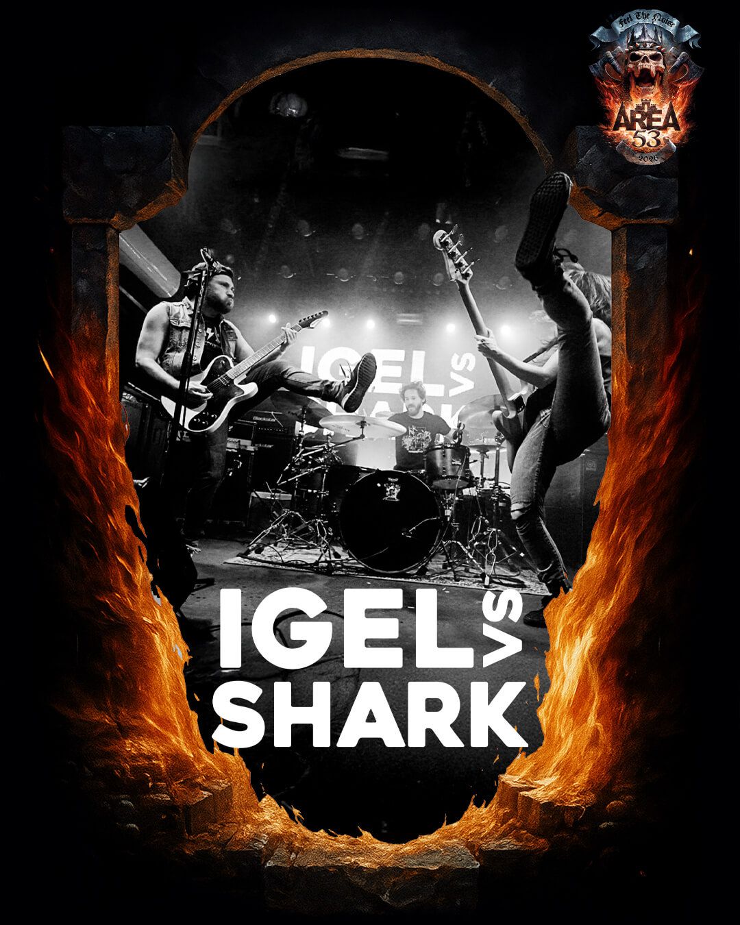 Igel VS Shark
